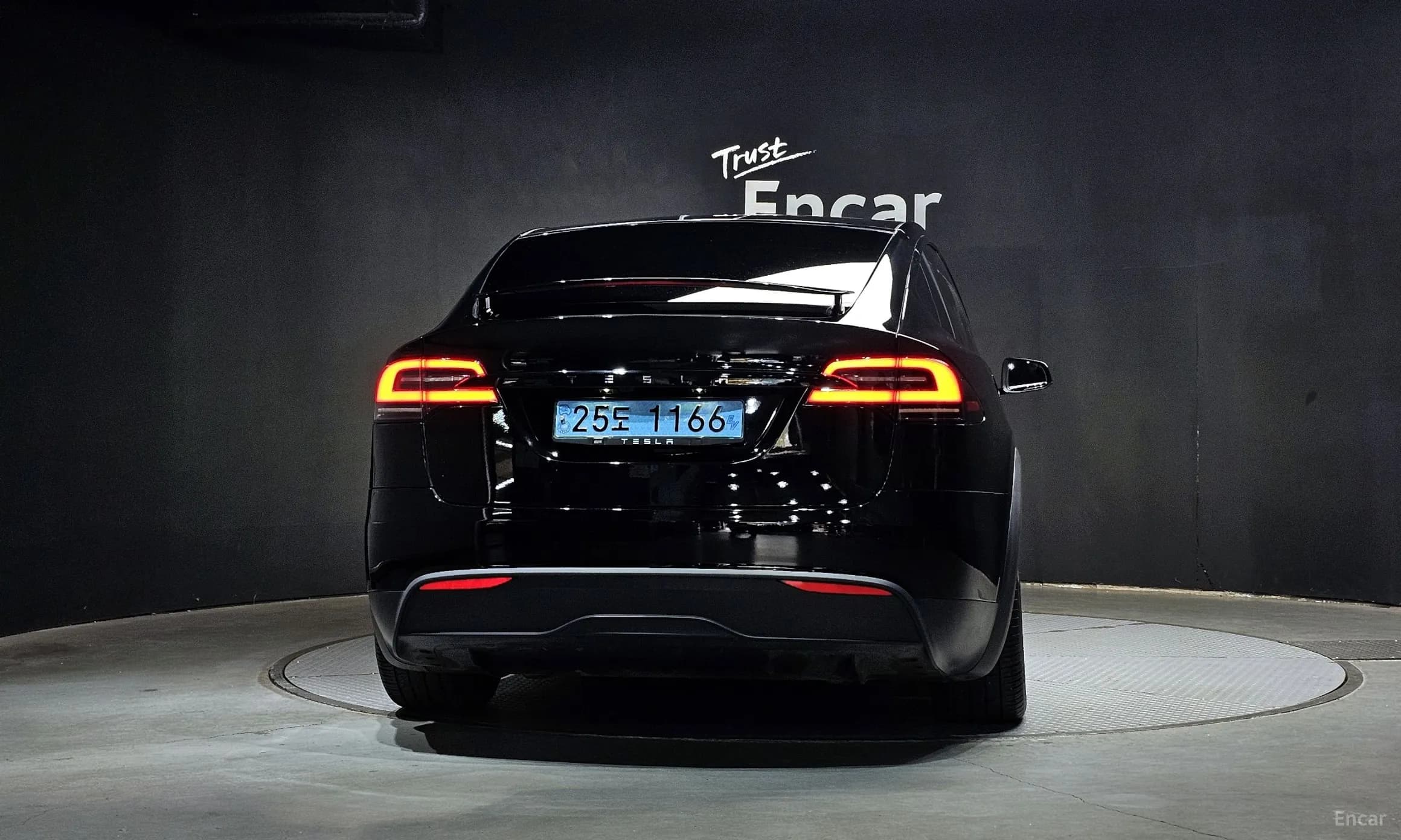 Model X