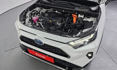 RAV4 5th Generation