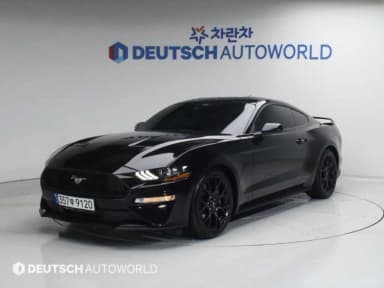Mustang