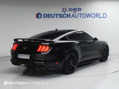 Mustang