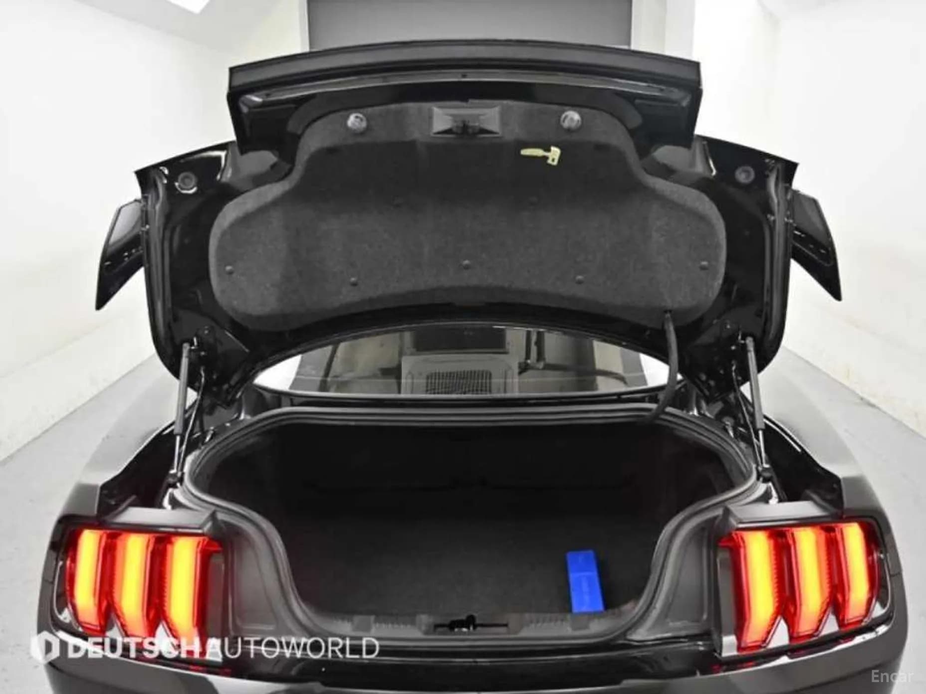 Mustang