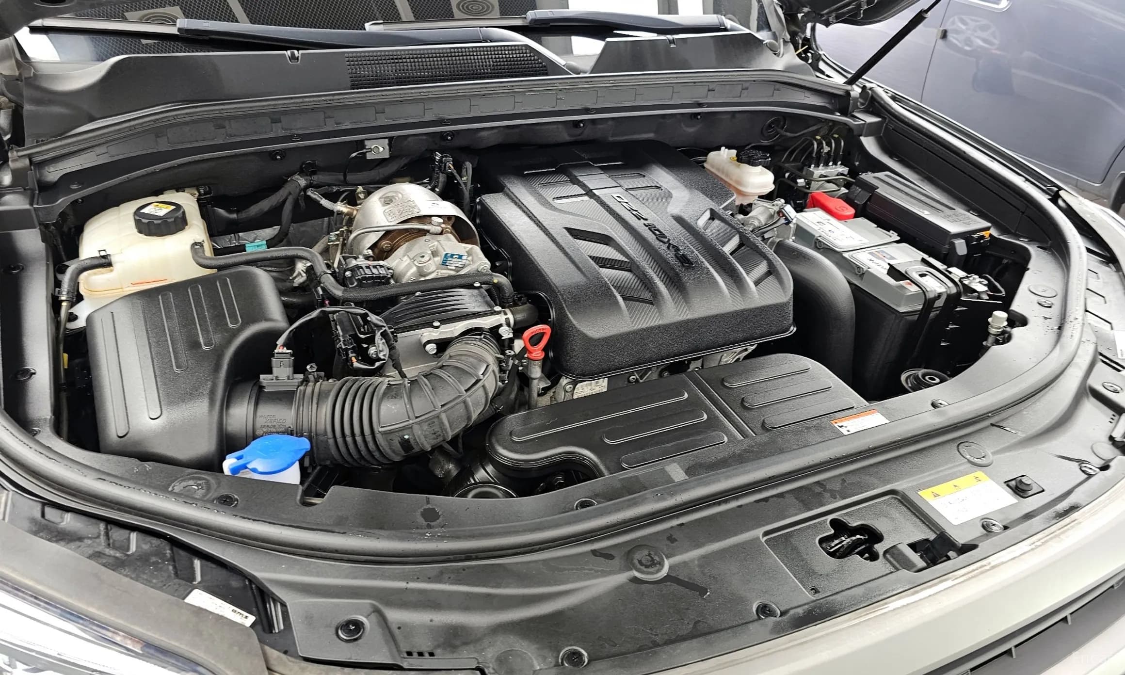 Rexton Sports