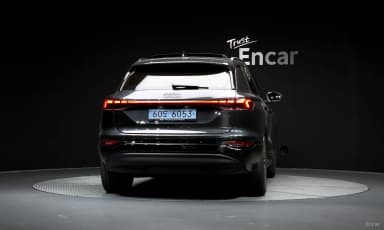 Q6 e-tron (GF)
