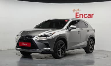NX300h