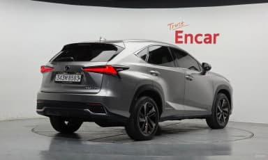 NX300h