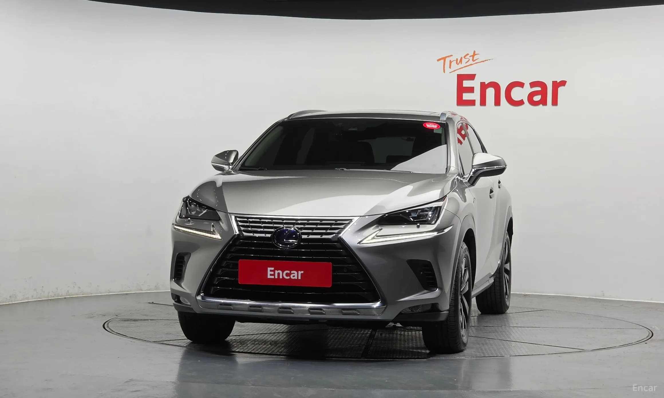 NX300h