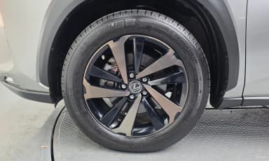 NX300h