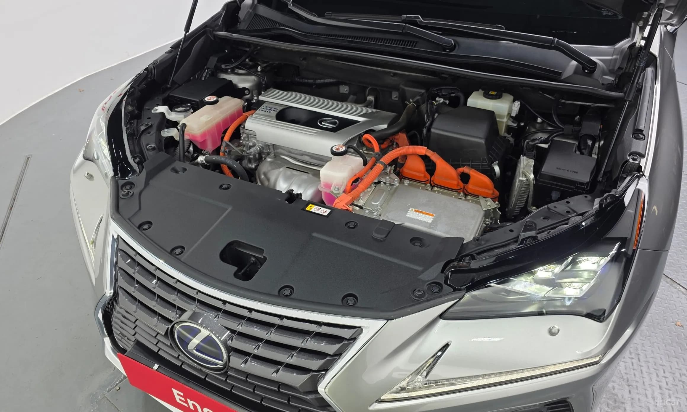 NX300h