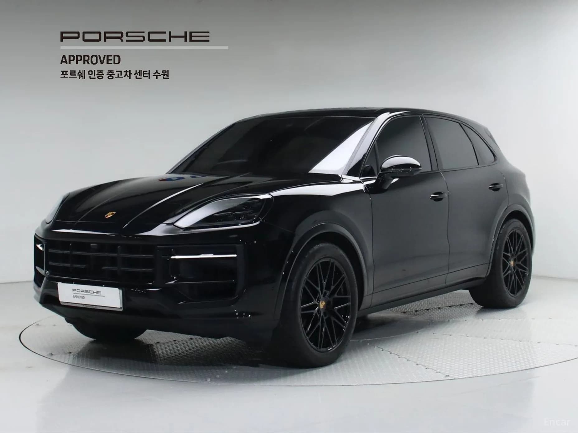 Cayenne (PO536)