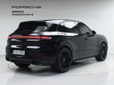 Cayenne (PO536)