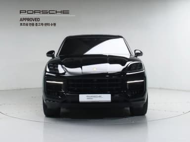 Cayenne (PO536)
