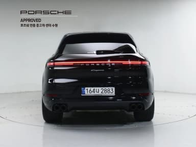 Cayenne (PO536)