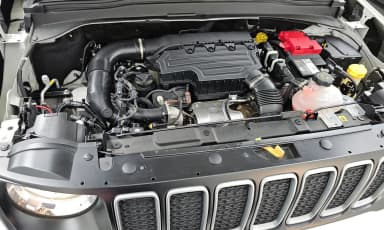Renegade