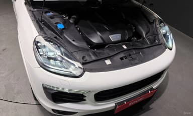 New Cayenne
