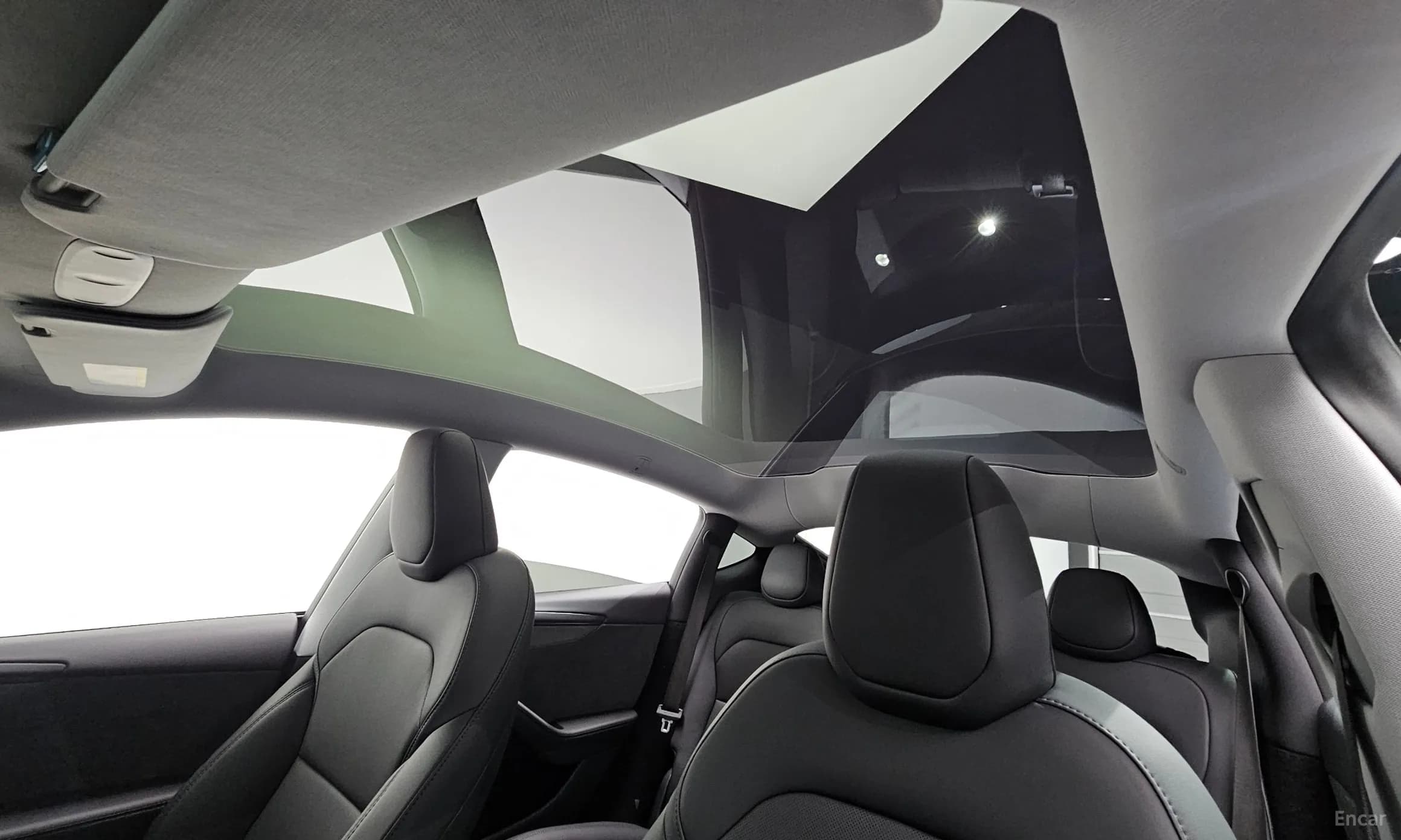 Model Y