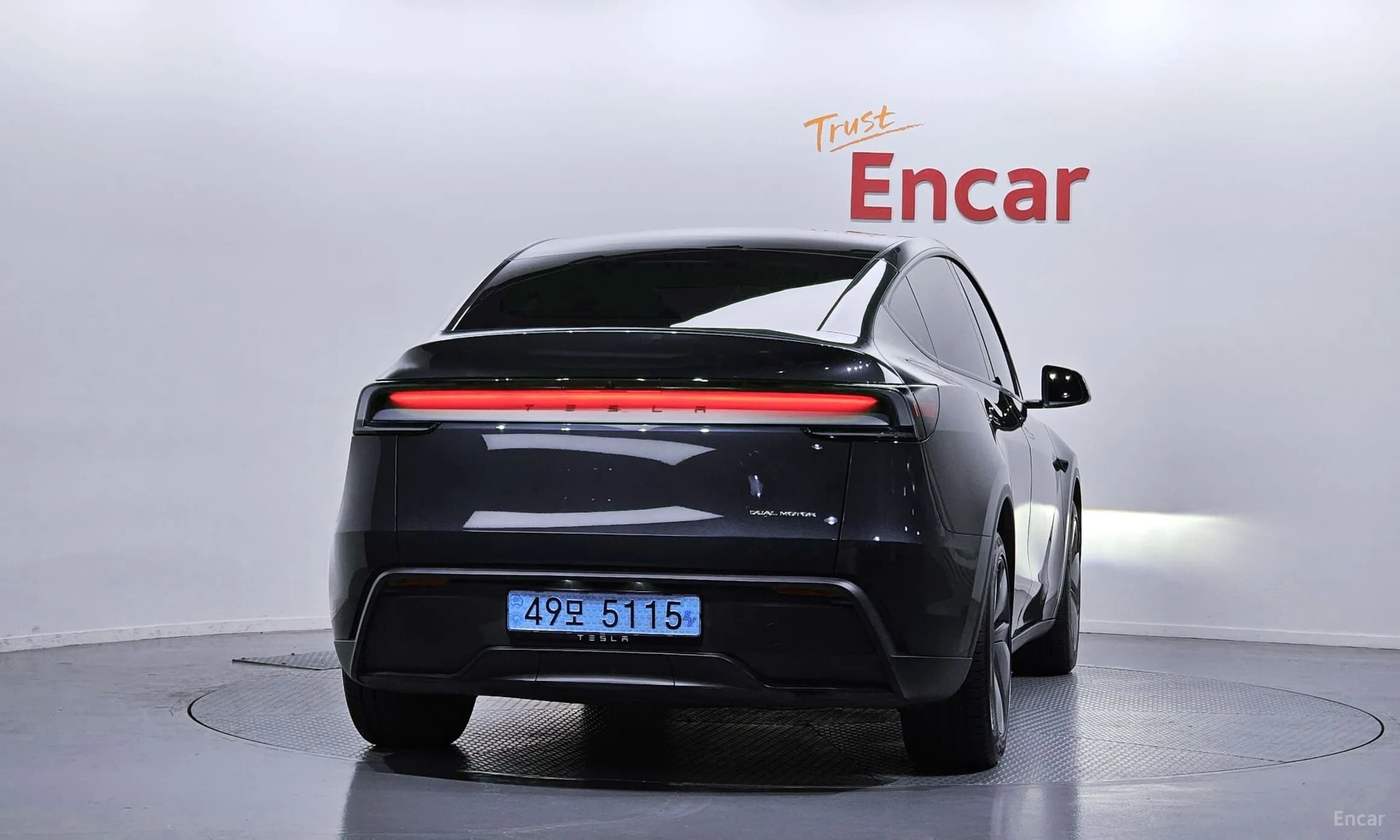 Model Y
