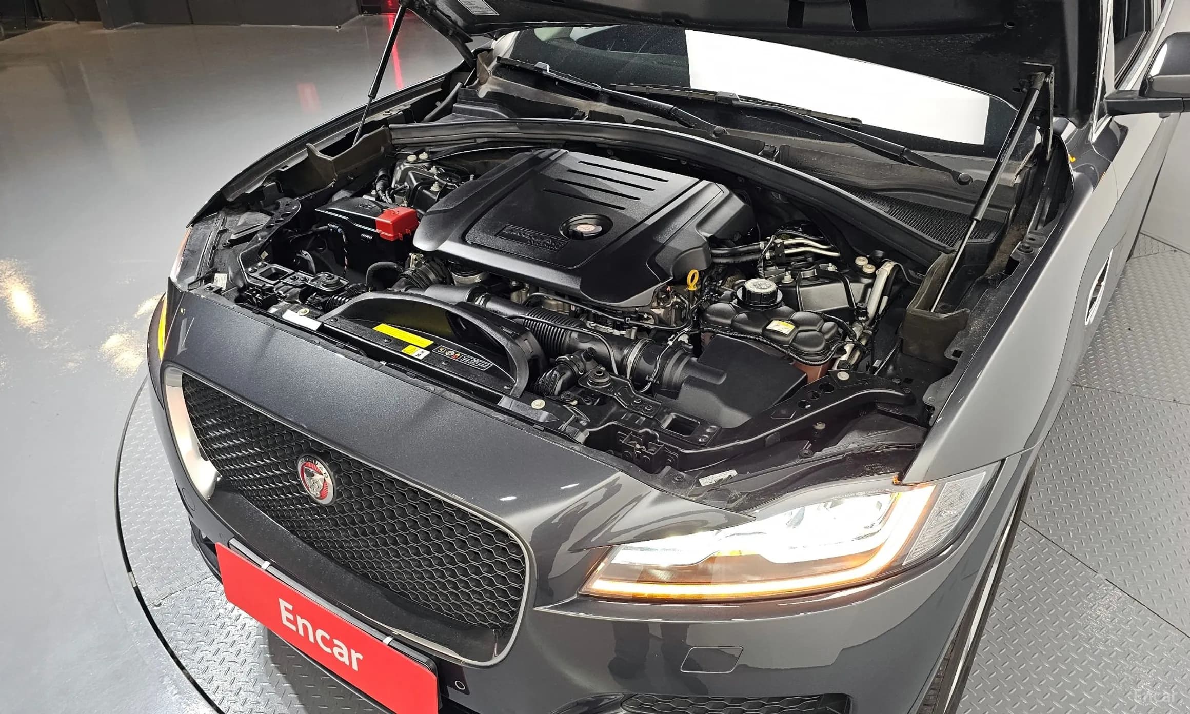 F-PACE