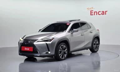 UX250h