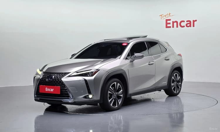 UX250h