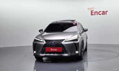 UX250h