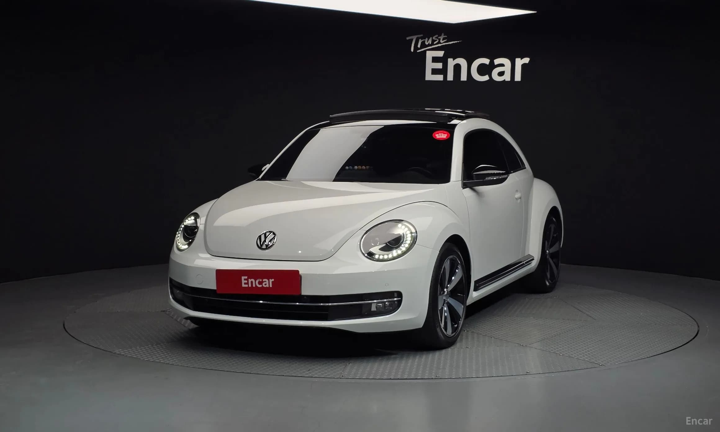 The Beetle