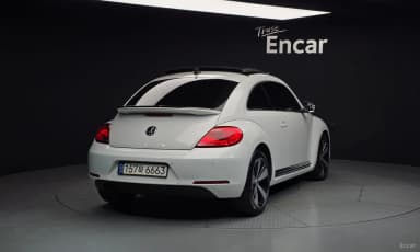 The Beetle
