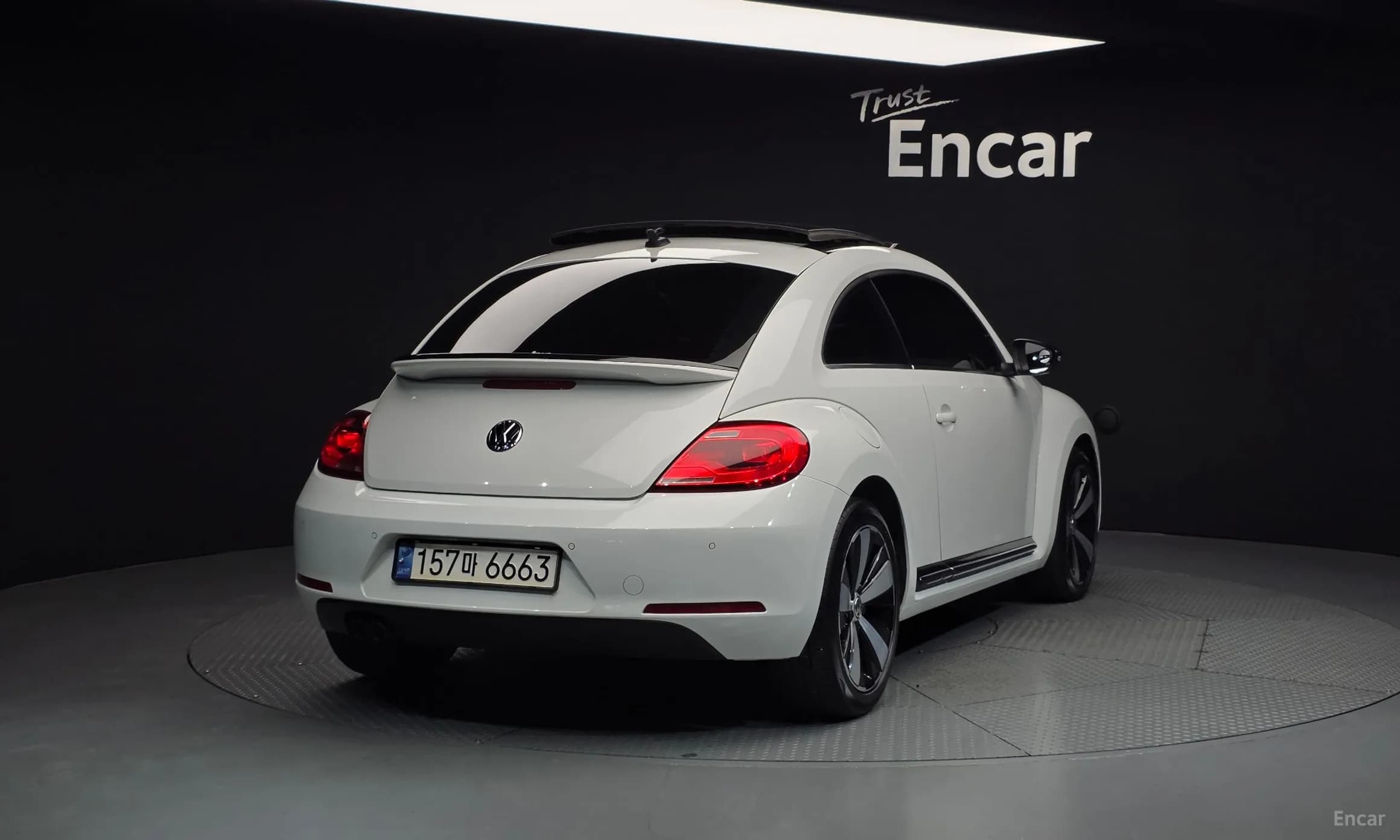 The Beetle