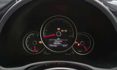 The Beetle