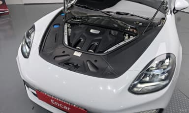 Panamera (971)