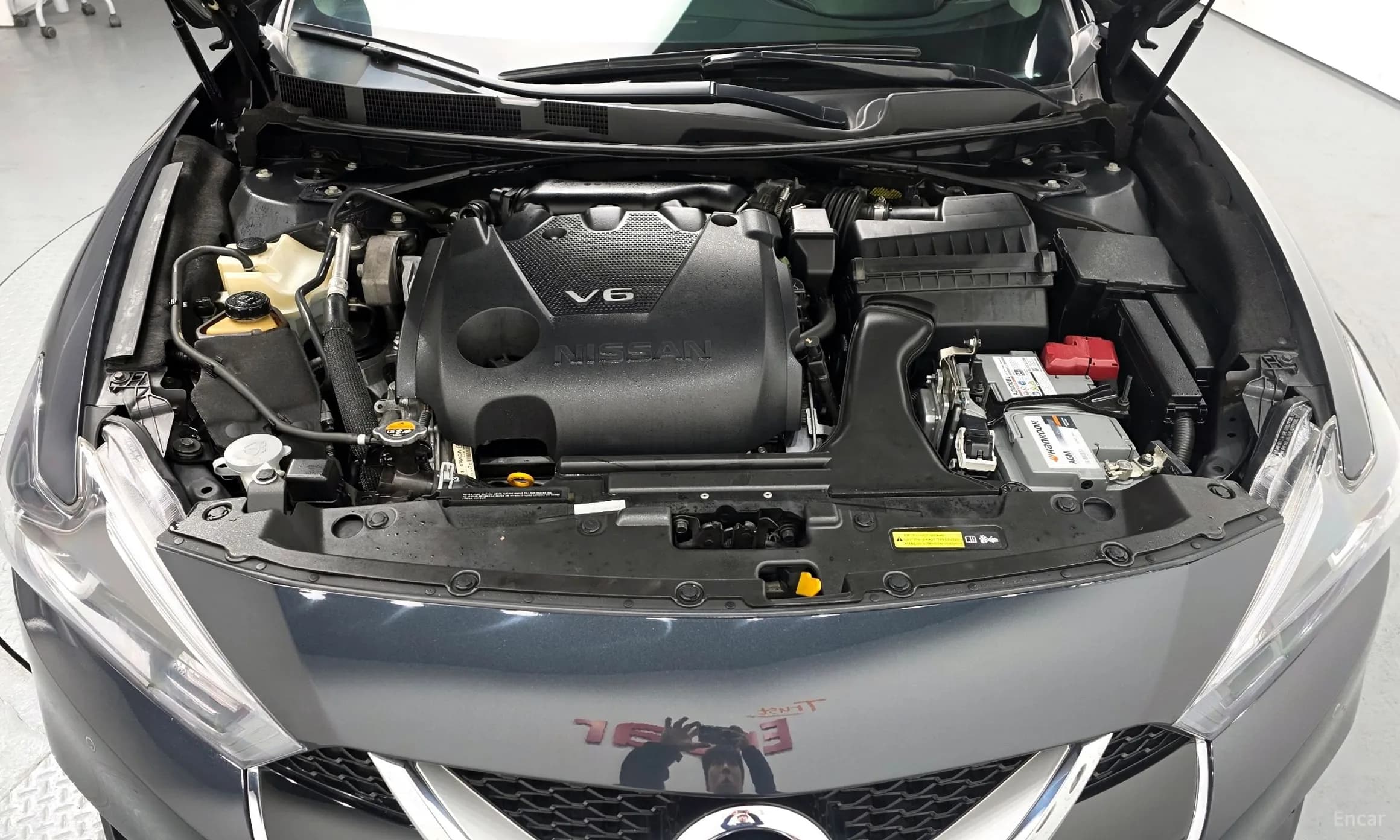Maxima (A36)