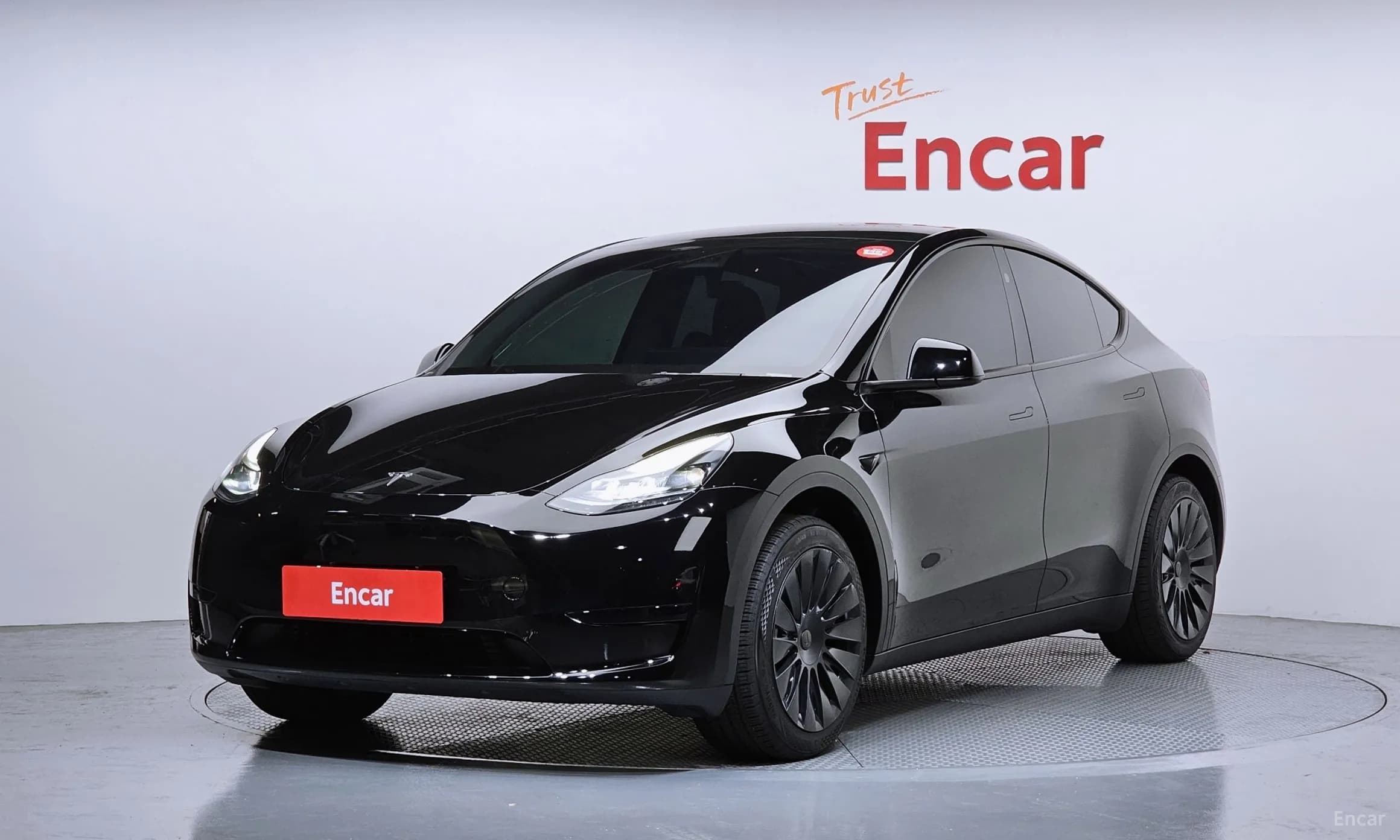 Model Y