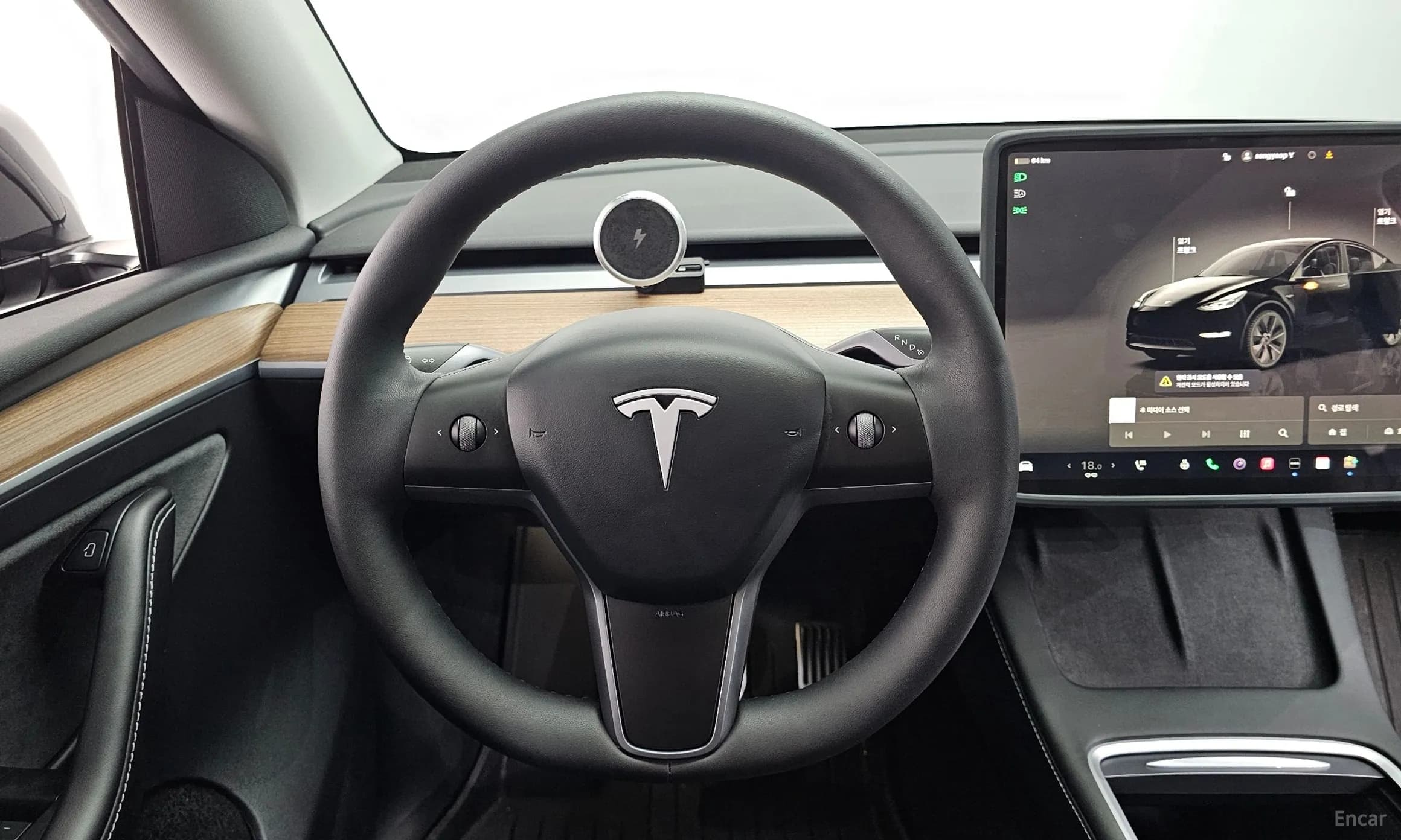 Model Y