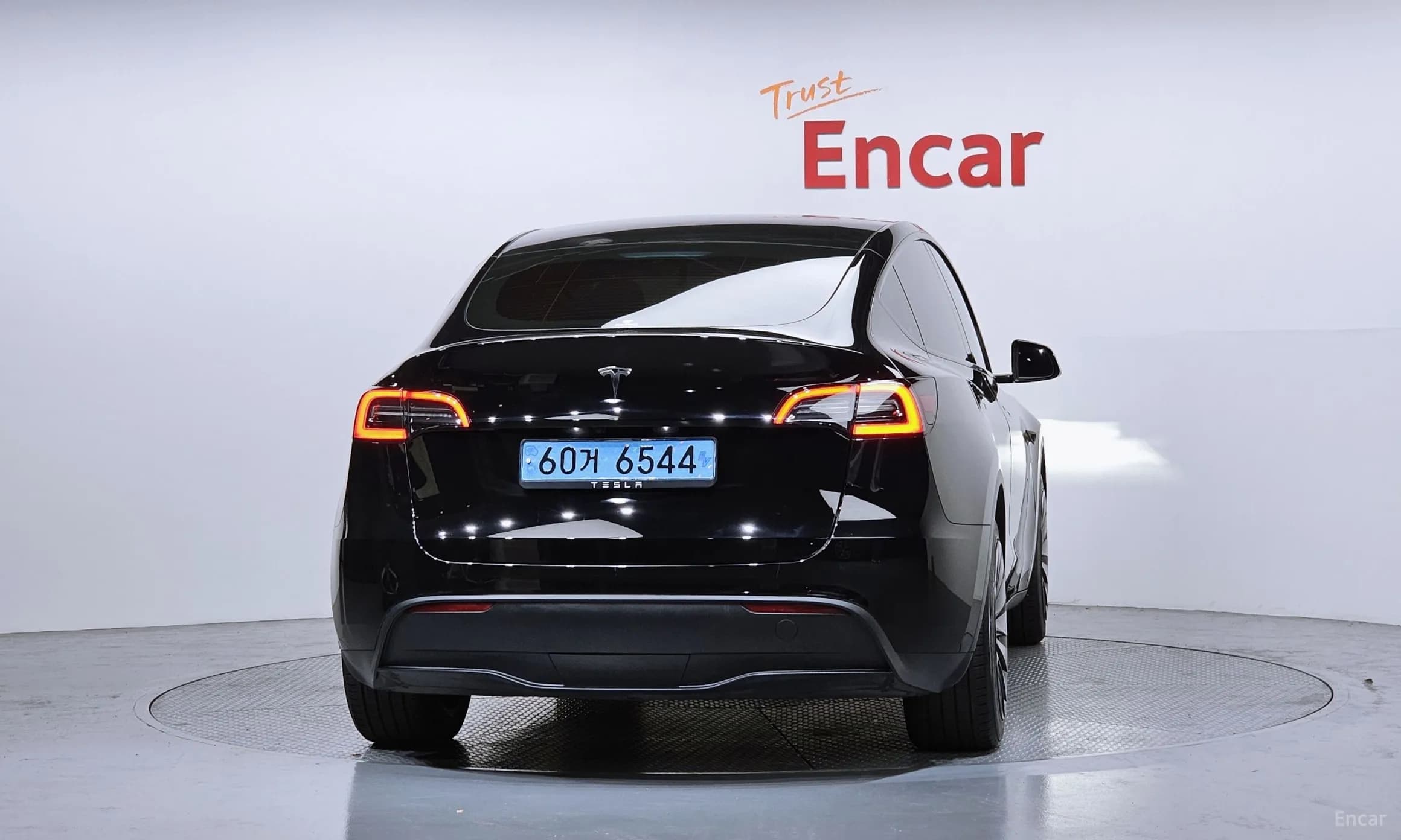 Model Y