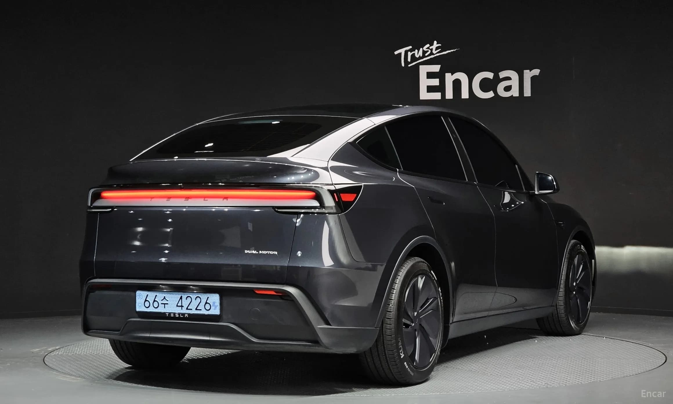 Model Y