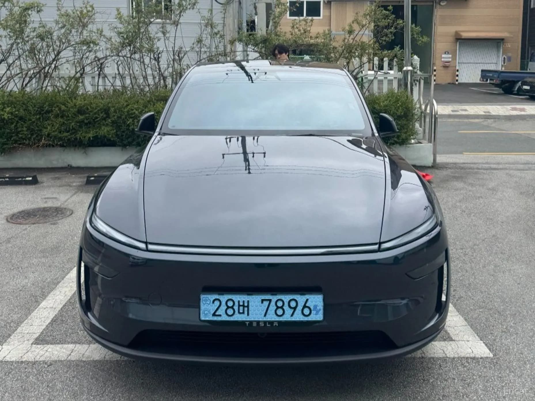Model Y