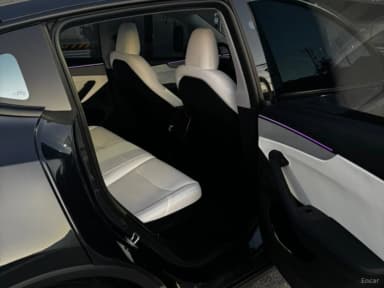 Model Y