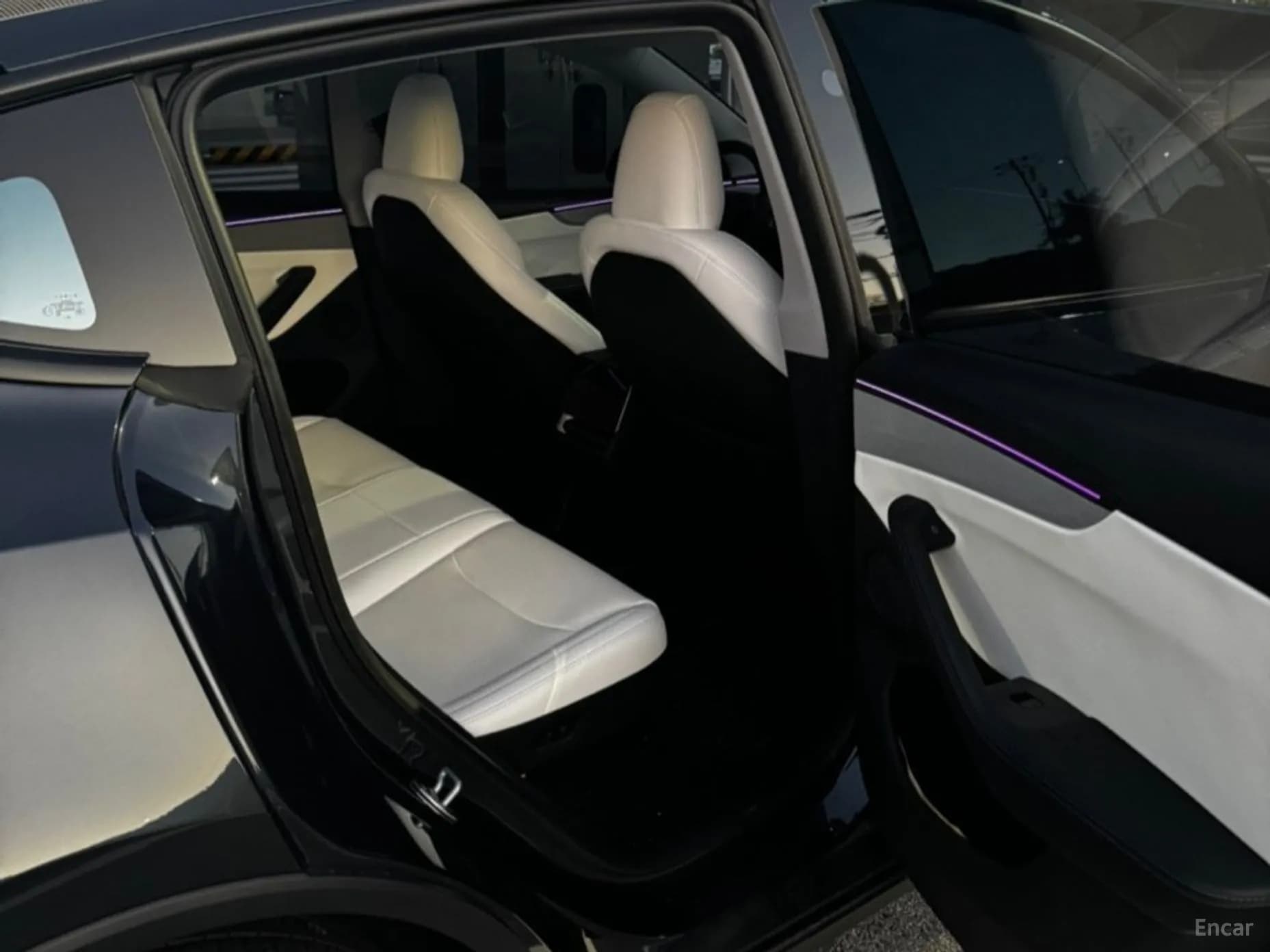 Model Y