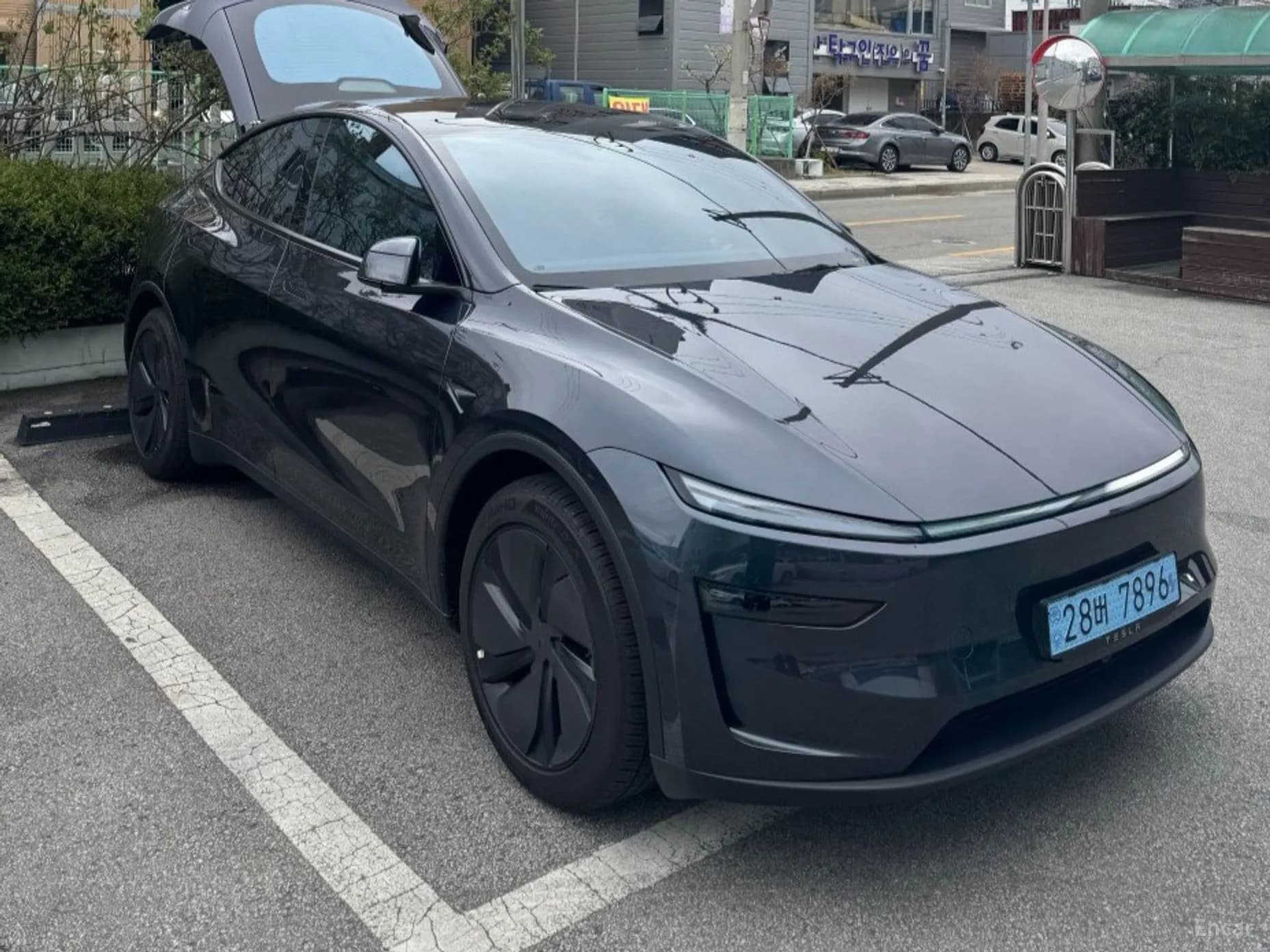 Model Y