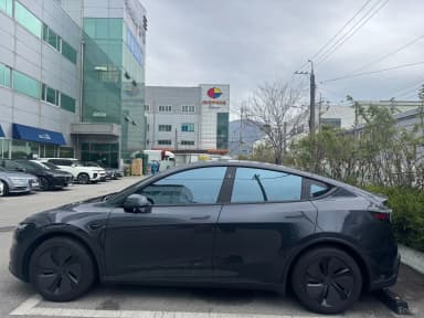 Model Y