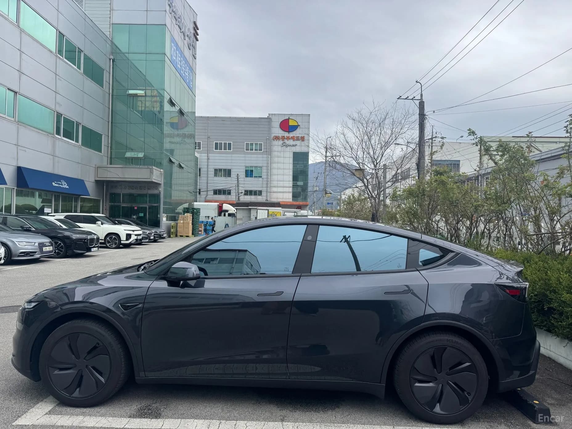 Model Y