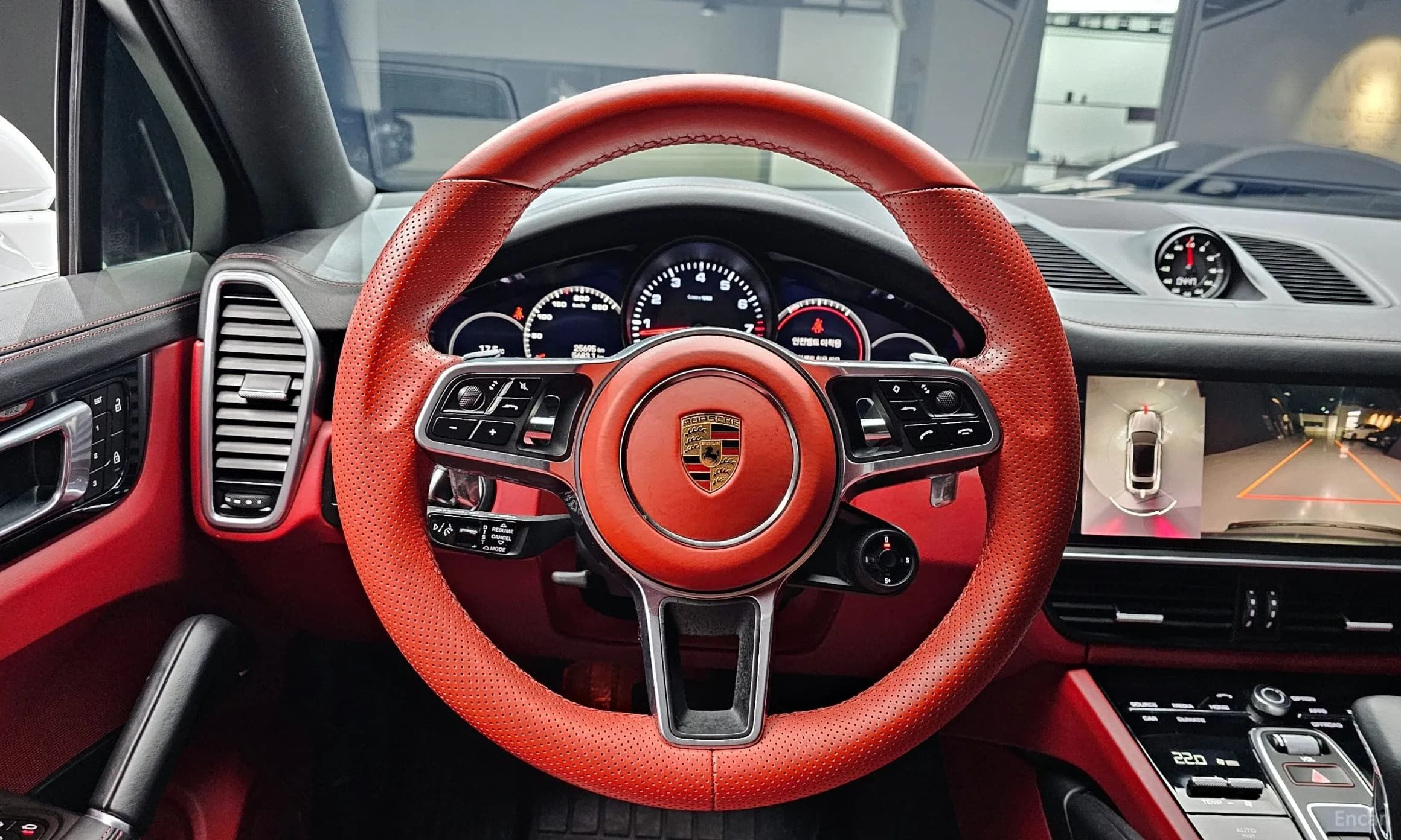 Cayenne (PO536)