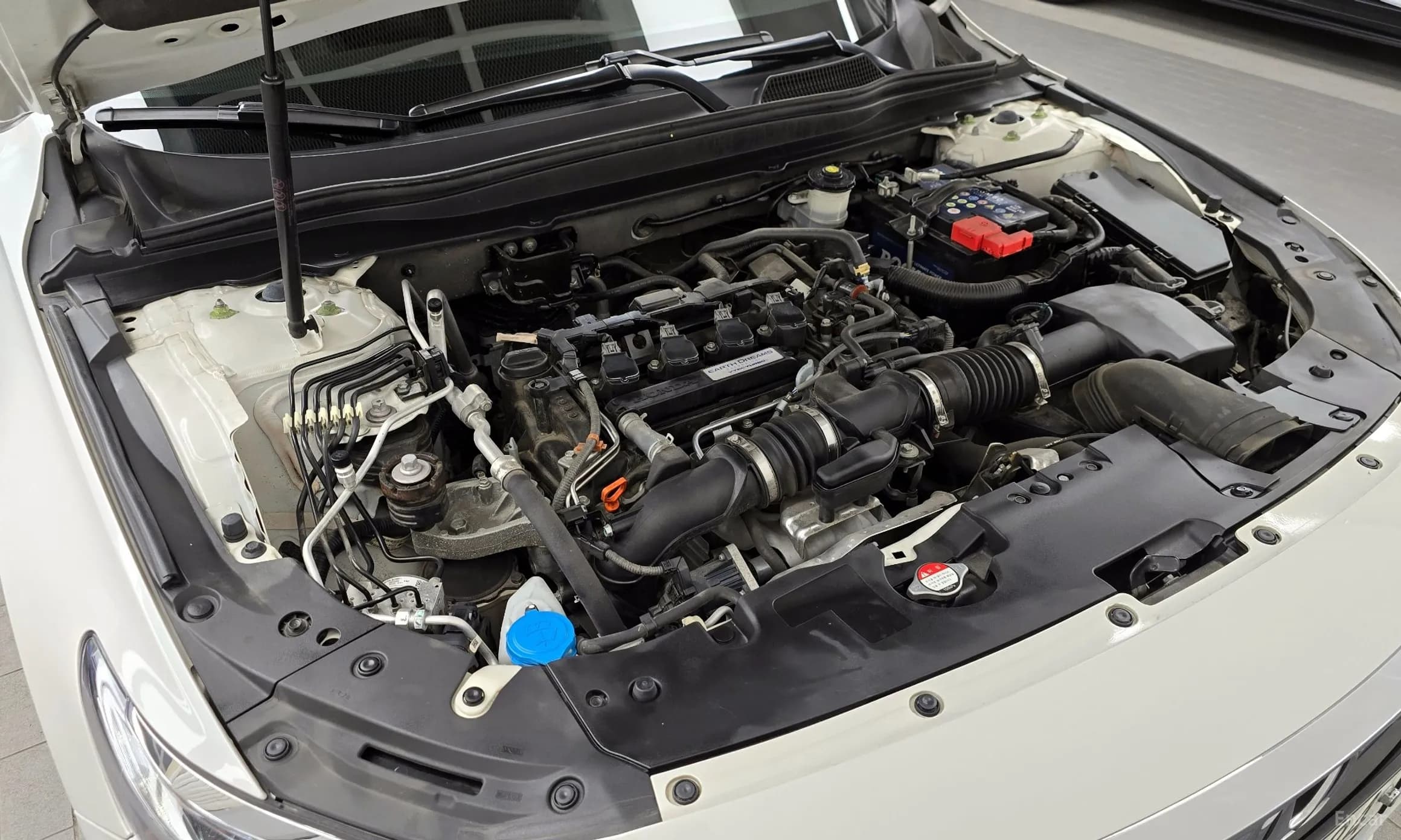 Accord 10th Generation