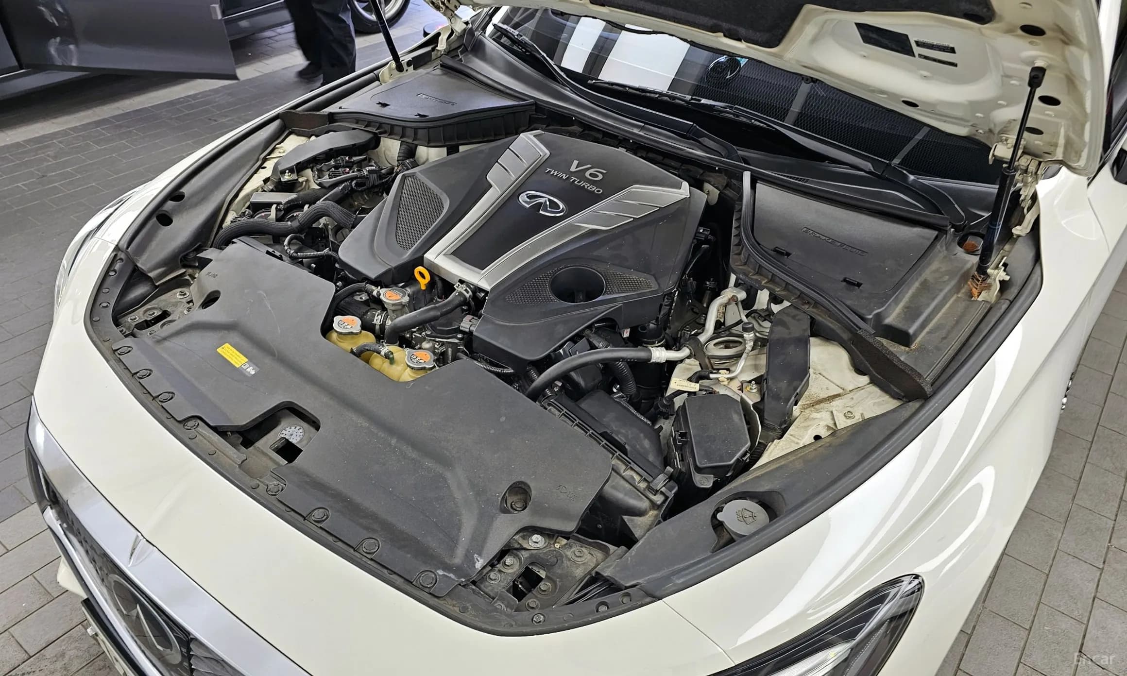 Q60 (CV37)