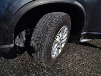 Rexton Sports