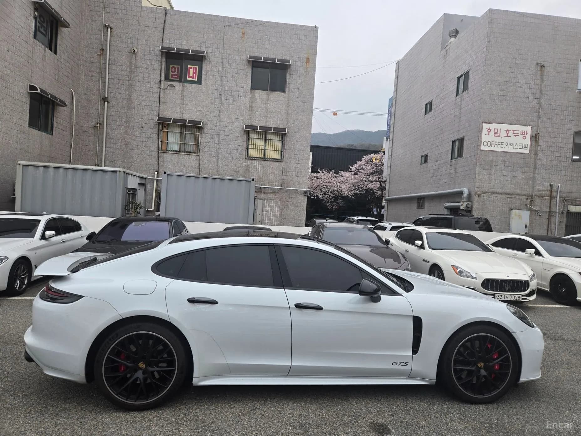 Panamera (971)
