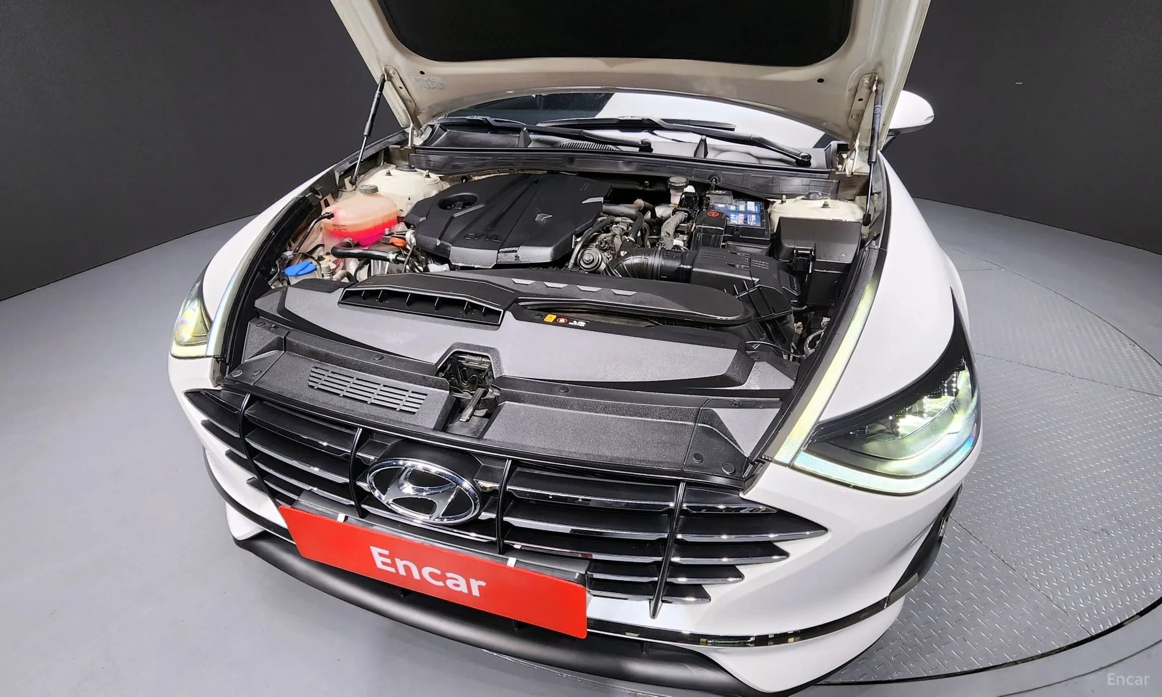 Sonata (DN8)