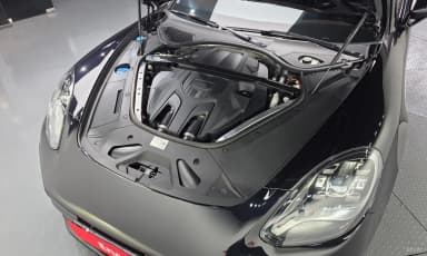 Panamera (971)