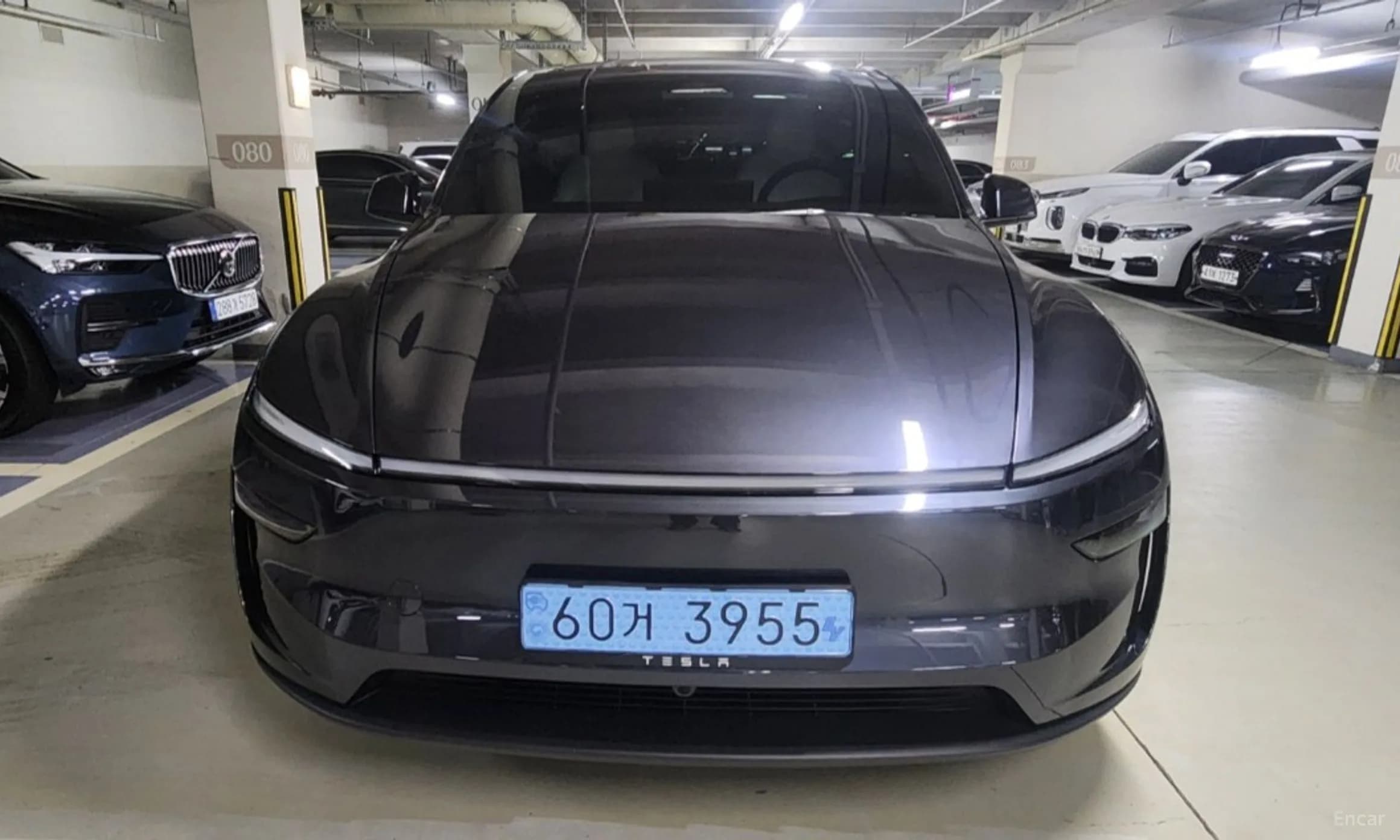 Model Y