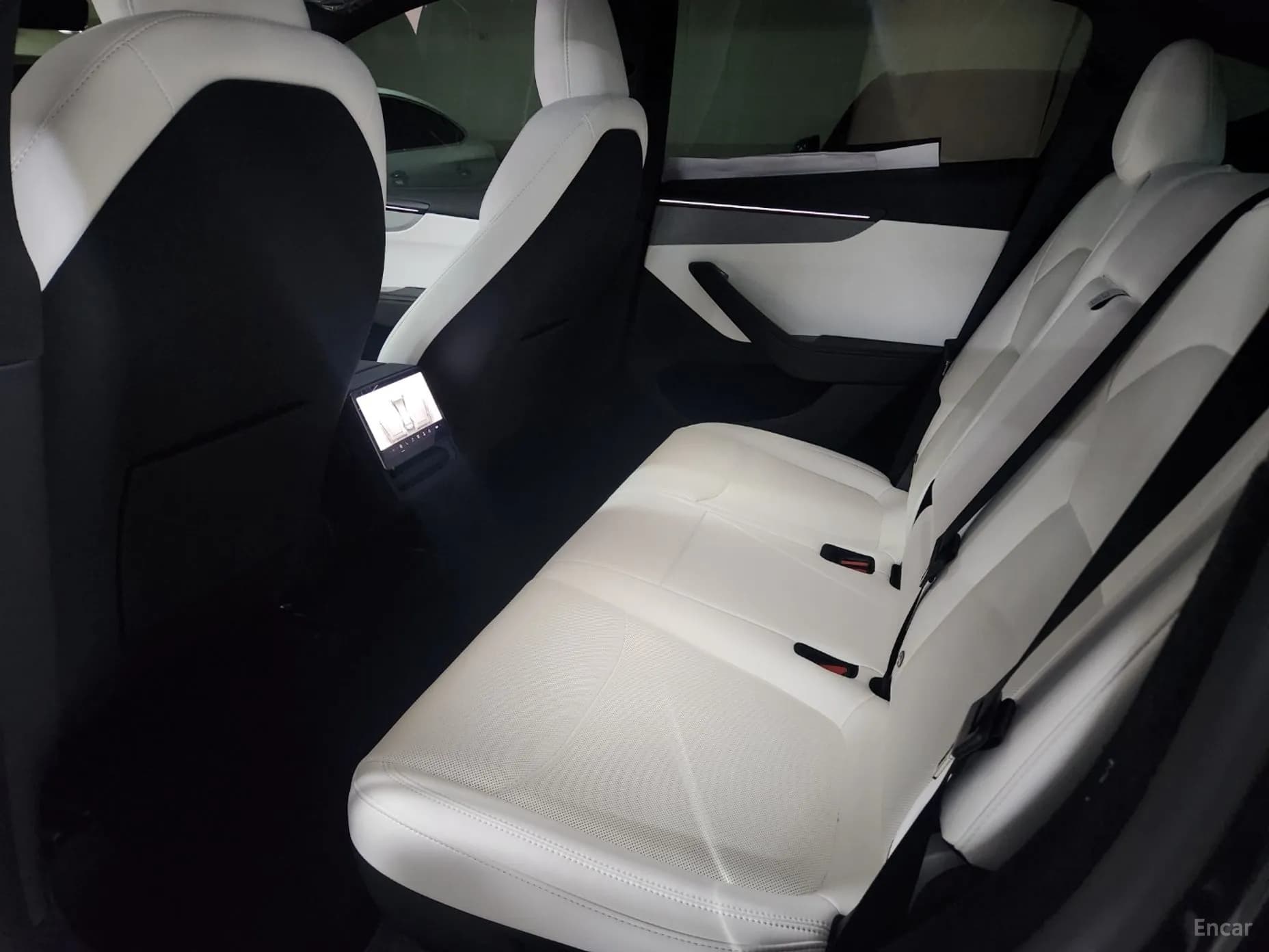 Model Y