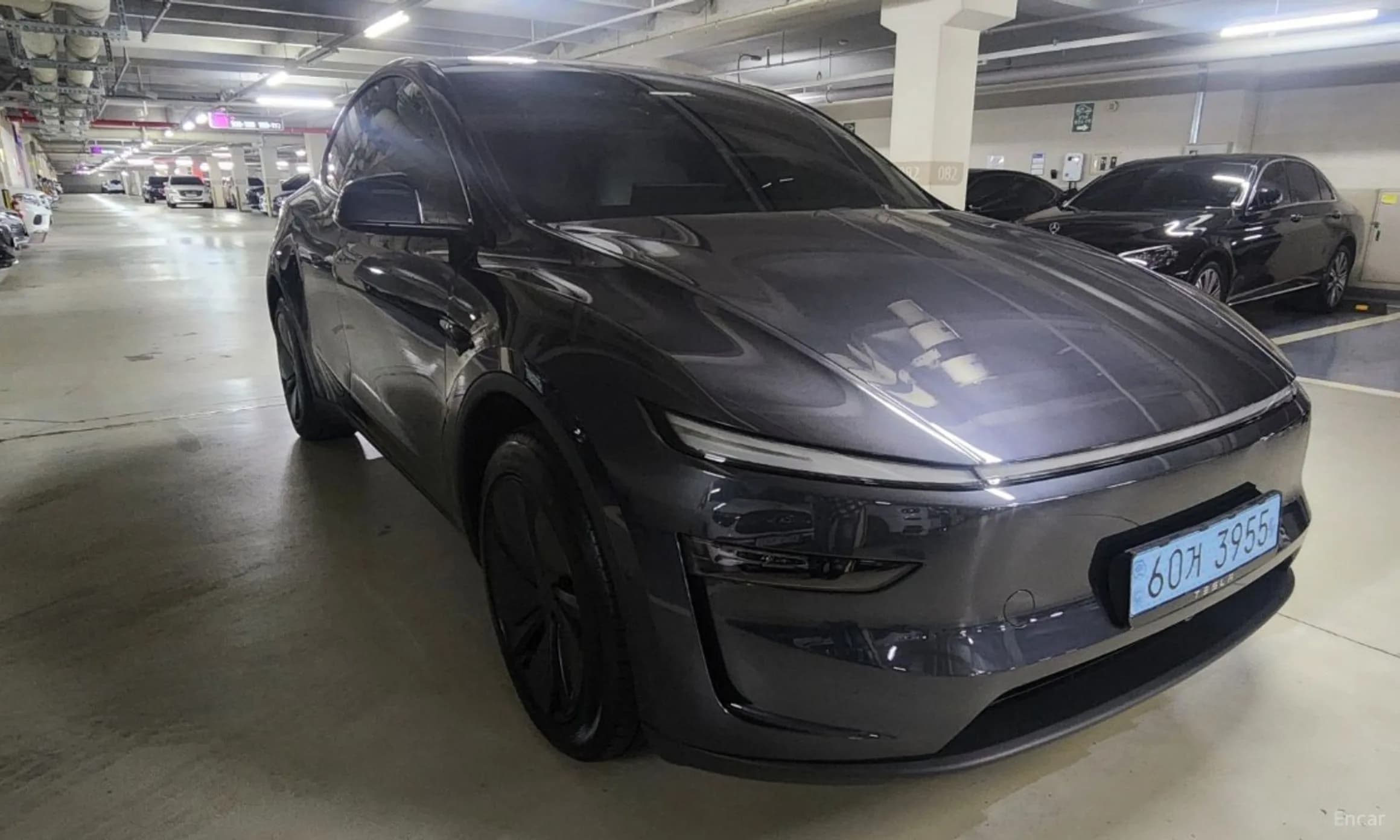 Model Y